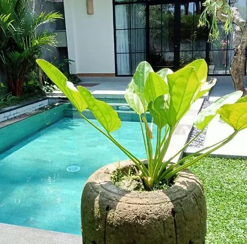 ゲストハウス Sawitri Anandhita Luxury